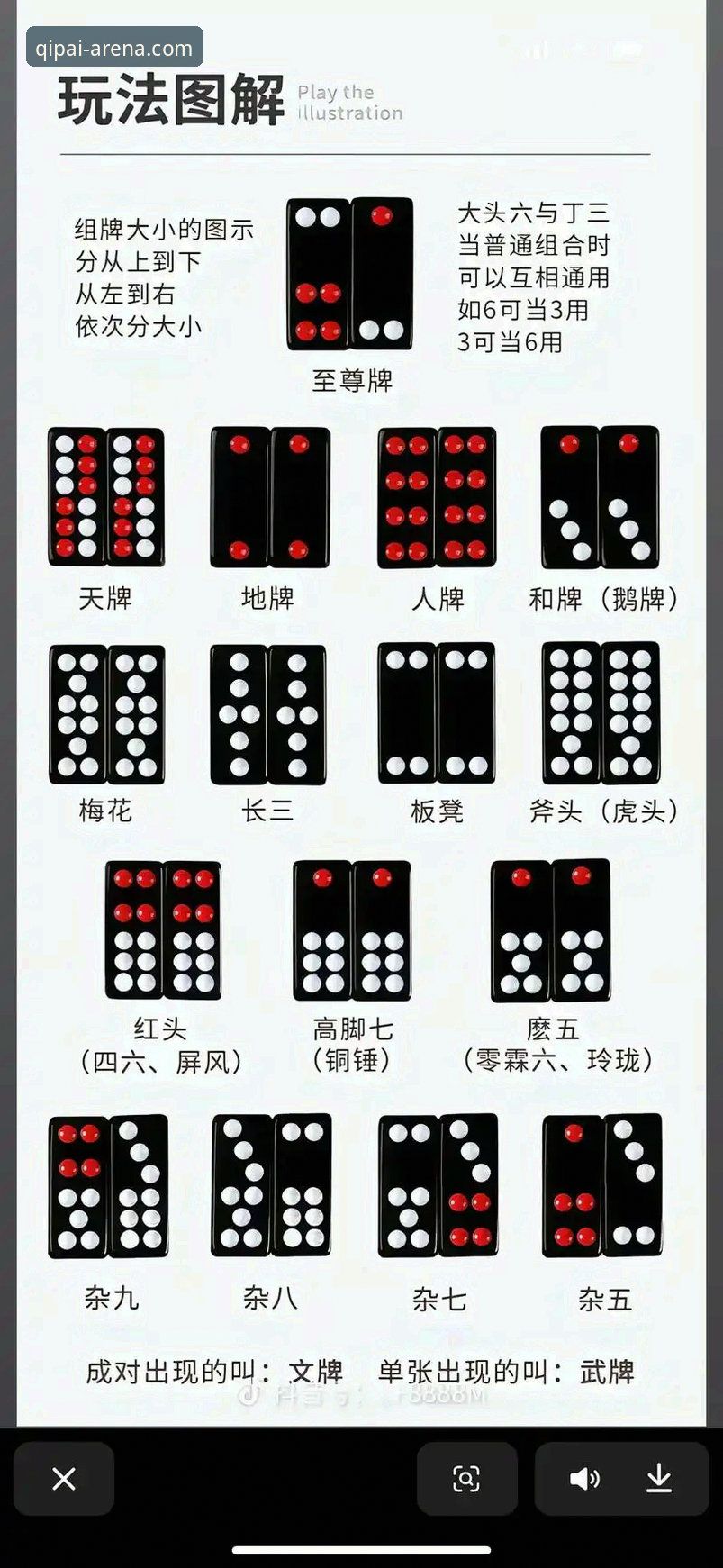 棋牌iOS版安卓版 9棋牌娱乐新手必看:iOS版与安卓版下载安装完整指南